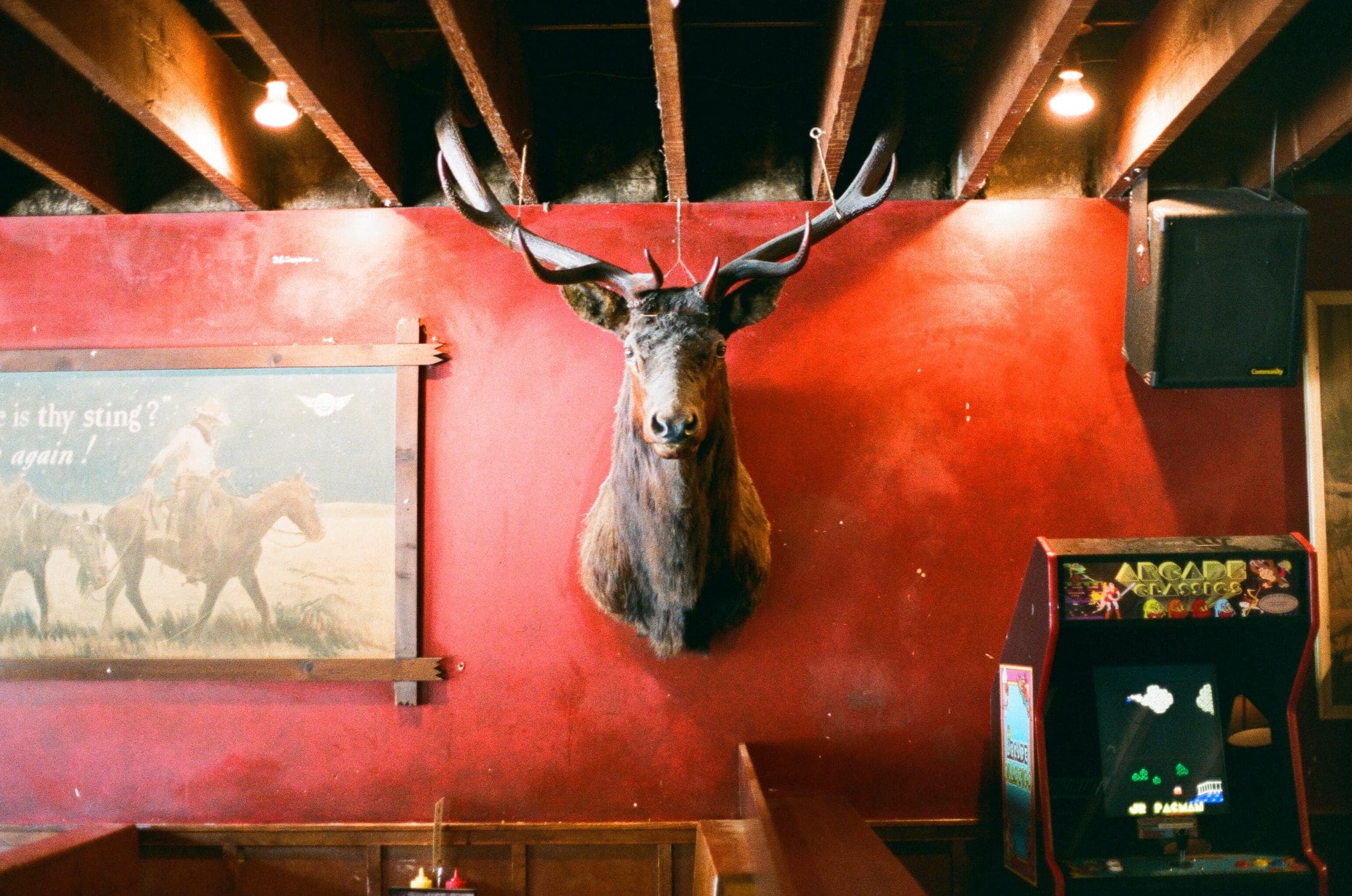 Moose head on red wall shot on Fuji Natura 1600